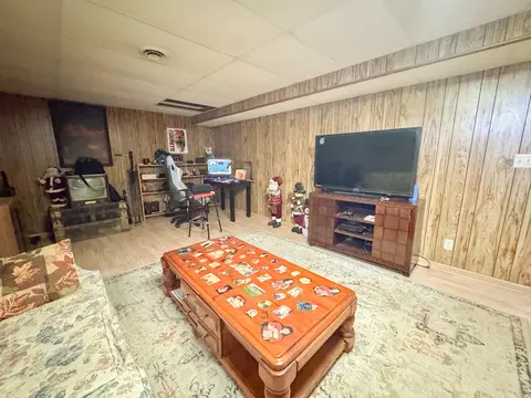 Living - 1143 Oak St, Eldena, IL 61324 photo 4 of 5