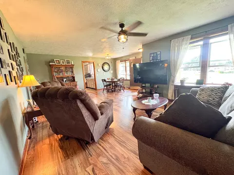 Living - 1143 Oak St, Eldena, IL 61324 photo 3 of 5