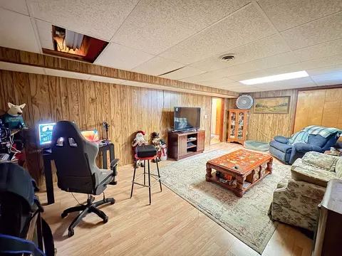 Living - 1143 Oak St, Eldena, IL 61324 photo 5 of 5