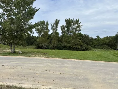 25135 S Tuscany Dr, Monee, IL 60449 photo 3