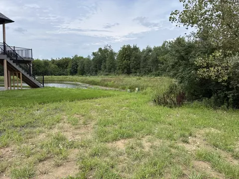 25135 S Tuscany Dr, Monee, IL 60449 photo 2