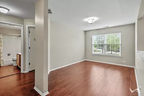 Living - 1620 Columbia Cir #2, Bartlett, IL 60103 photo 4 of 4