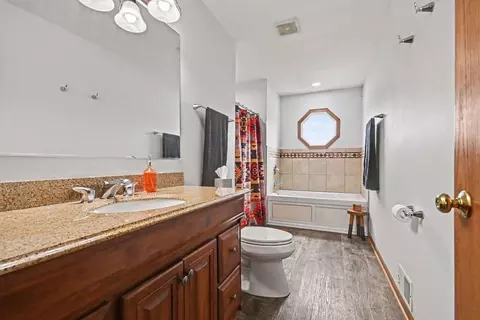 Bath - 487 Locust Ln, Peotone, IL 60468 photo 3 of 3