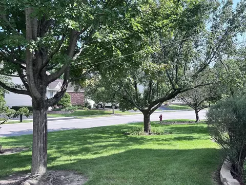 Exterior - 20952 W Olive St, Plainfield, IL 60544 photo 5 of 7
