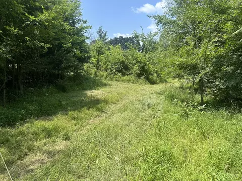 tbd Bushwack Rd, Golconda, IL 62938
