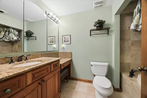 Bath - 8648 Wedgewood Dr, Burr Ridge, IL 60527 photo 3 of 3