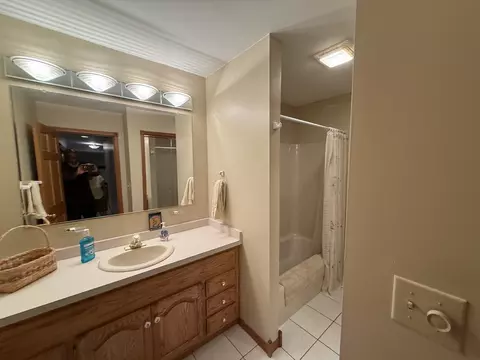 Bath - 3940 Gloucester Dr, Crete, IL 60417 photo 2 of 5