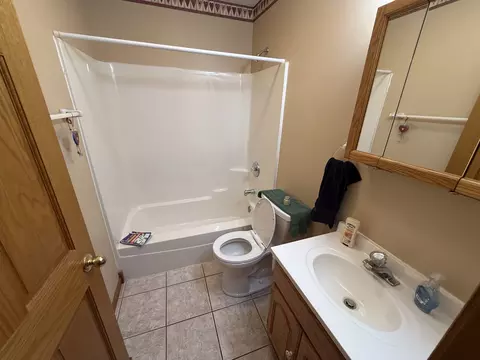Bath - 3940 Gloucester Dr, Crete, IL 60417 photo 5 of 5
