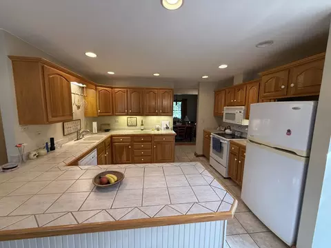 Kitchen - 3940 Gloucester Dr, Crete, IL 60417 photo 5 of 6