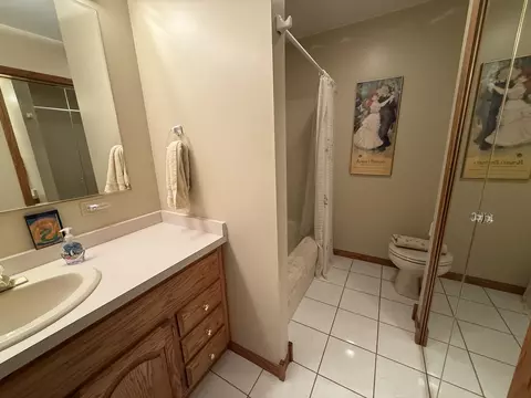 Bath - 3940 Gloucester Dr, Crete, IL 60417 photo 1 of 5