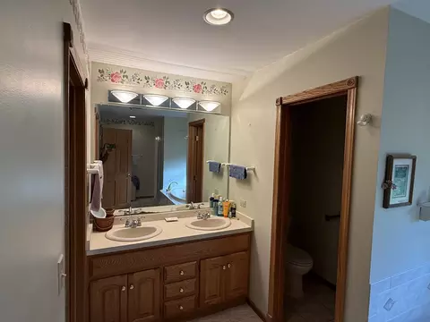 Bath - 3940 Gloucester Dr, Crete, IL 60417 photo 3 of 5