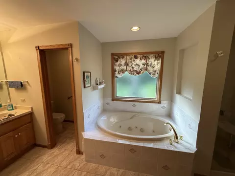Bath - 3940 Gloucester Dr, Crete, IL 60417 photo 4 of 5