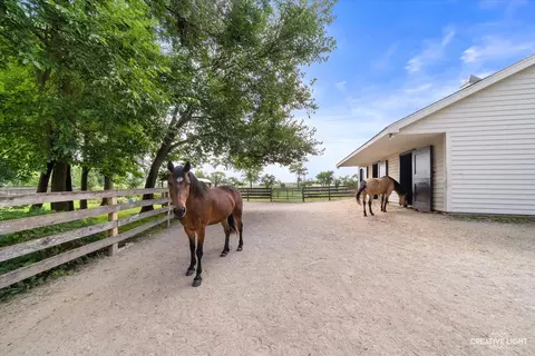 Exterior - 5 N440 Derby Rd, Wayne, IL 60184 photo 11 of 22