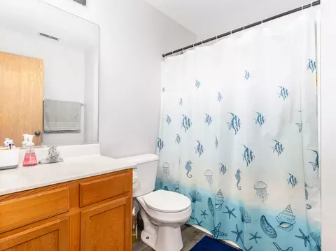 Bath - 3217 Hoffman St, Plano, IL 60545 photo 3 of 3