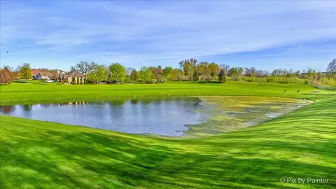 8219 Squirrel Dr, Spring Grove, IL 60081 photo 16