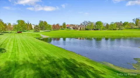 8219 Squirrel Dr, Spring Grove, IL 60081 photo 17