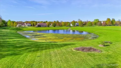 8219 Squirrel Dr, Spring Grove, IL 60081 photo 14