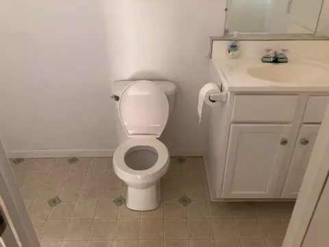 Bath - 219 W 4th St, Pecatonica, IL 61063 photo 1 of 3