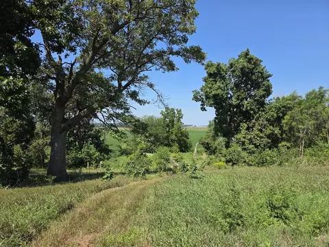 Exterior - 28453 E 2400 St, Prophetstown, IL 61277 photo 6 of 11