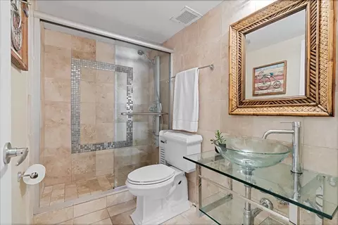 Bath - 175 E Delaware Pl #6206, Chicago, IL 60611 photo 3 of 3