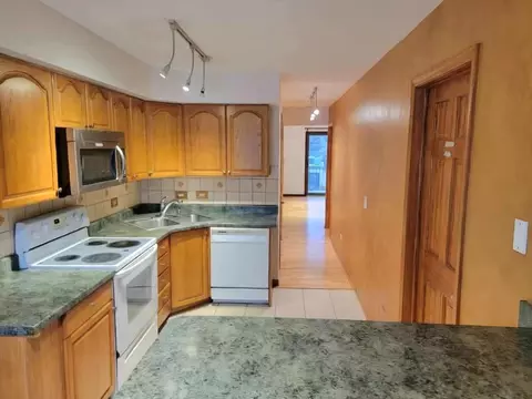 Kitchen - 9709 Bianco Ter #E, Des Plaines, IL 60016 photo 3 of 3