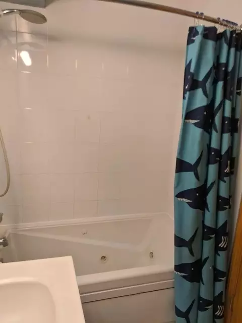 Bath - 9709 Bianco Ter #E, Des Plaines, IL 60016 photo 2 of 4