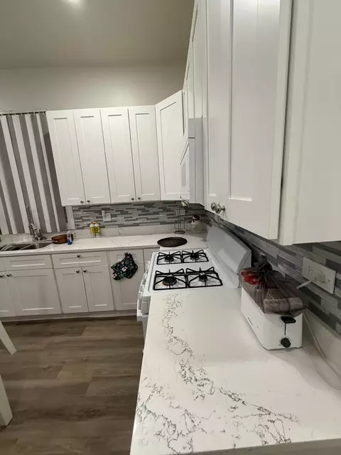 528 E 46th Pl, Chicago, IL 60653 photo 5