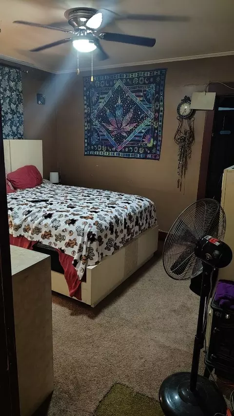 Bedroom - 117 S Reader St, Mounds, IL 62964 photo 1 of 2
