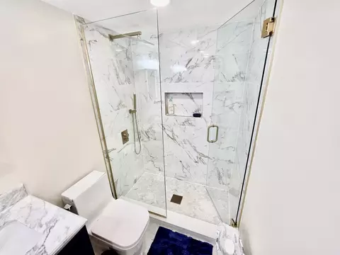 Bath - 1330 Perry St #202, Des Plaines, IL 60016 photo 4 of 6