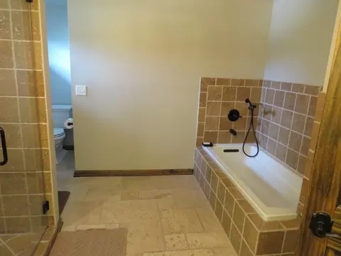 Bath - 223 Buckingham Dr, Bartlett, IL 60103 photo 3 of 4