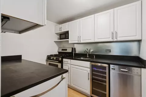 Kitchen - 253 E Delaware Pl #5E, Chicago, IL 60611 photo 1 of 1