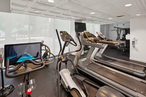 Other - 253 E Delaware Pl #5E, Chicago, IL 60611 photo 7 of 8
