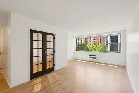 Living - 253 E Delaware Pl #5E, Chicago, IL 60611 photo 1 of 2