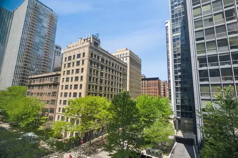 Other - 253 E Delaware Pl #5E, Chicago, IL 60611 photo 6 of 8