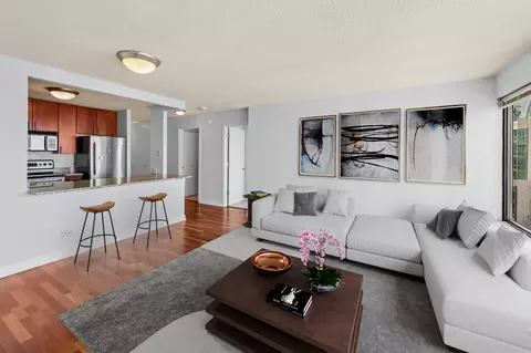 Living - 30 E Huron St #5306, Chicago, IL 60611 photo 3 of 5