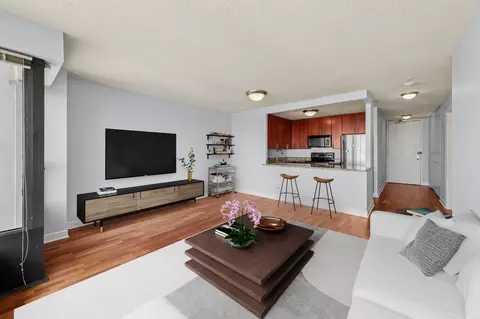 Living - 30 E Huron St #5306, Chicago, IL 60611 photo 4 of 5