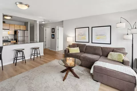 Living - 30 E Huron St #5006, Chicago, IL 60611 photo 5 of 7