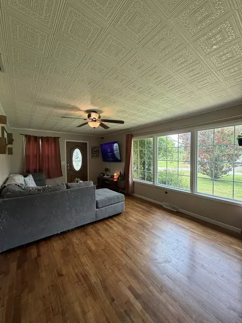 Living - 189 Blasdel Dr, Joppa, IL 62953 photo 2 of 3