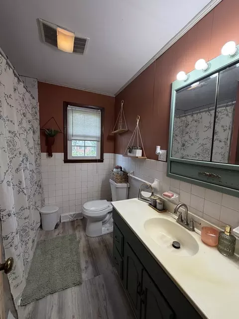 Bath - 189 Blasdel Dr, Joppa, IL 62953 photo 1 of 2