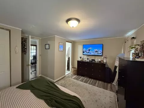 Bedroom - 189 Blasdel Dr, Joppa, IL 62953 photo 4 of 4