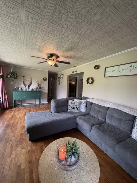 Living - 189 Blasdel Dr, Joppa, IL 62953 photo 1 of 3