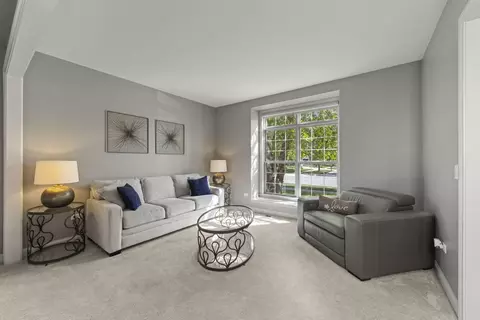 Living - 26612 Lindengate Cir, Plainfield, IL 60585 photo 1 of 3