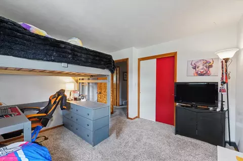 Other - 106 Pleasant Dr, Sidney, IL 61877 photo 4 of 6
