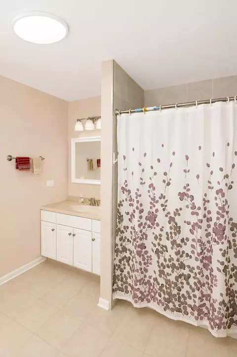 Bath - 5559 Elizabeth Pl, Rolling Meadows, IL 60008 photo 5 of 5
