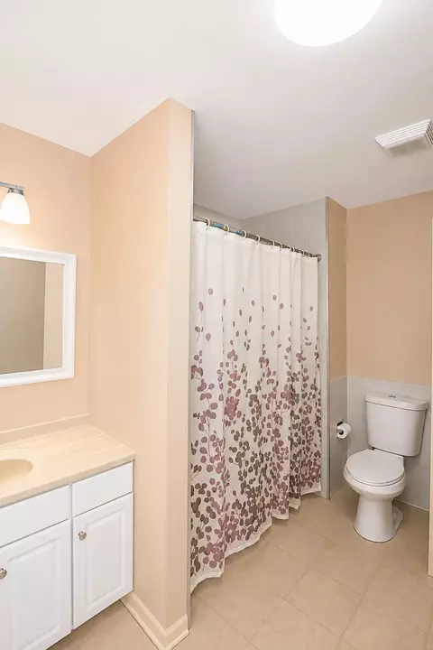 Bath - 5559 Elizabeth Pl, Rolling Meadows, IL 60008 photo 4 of 5