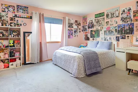 Bedroom - 2212 Caton Ridge Dr, Plainfield, IL 60586 photo 2 of 9