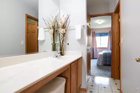Bath - 2212 Caton Ridge Dr, Plainfield, IL 60586 photo 4 of 8