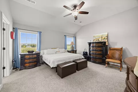 Bedroom - 301 Arrowhead Dr, Minooka, IL 60447 photo 3 of 3