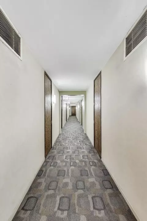 Entry Way - 201 E Chestnut St #3A, Chicago, IL 60611 photo 4 of 4