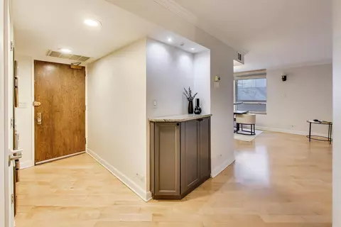Entry Way - 201 E Chestnut St #3A, Chicago, IL 60611 photo 2 of 4